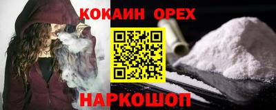 стаф Камышлов