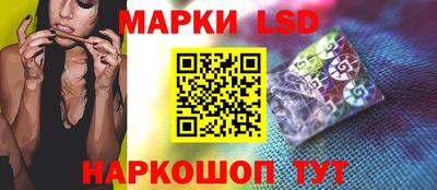 стаф Камышлов