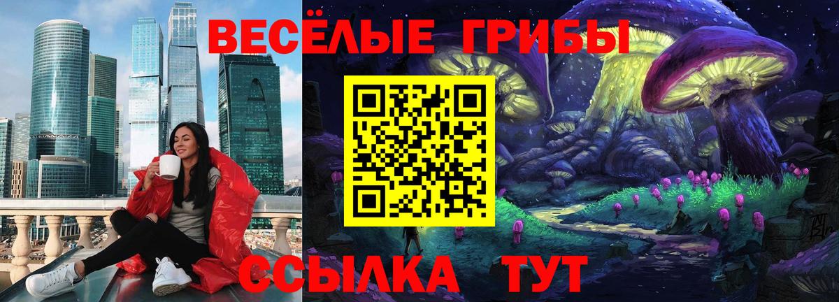 Галлюциногенные грибы Psilocybe Качканар