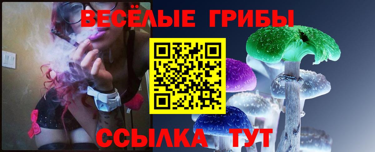 Галлюциногенные грибы прущие грибы  Псилоцибиновые грибы Psilocybe  Качканар  Вход с VPN 